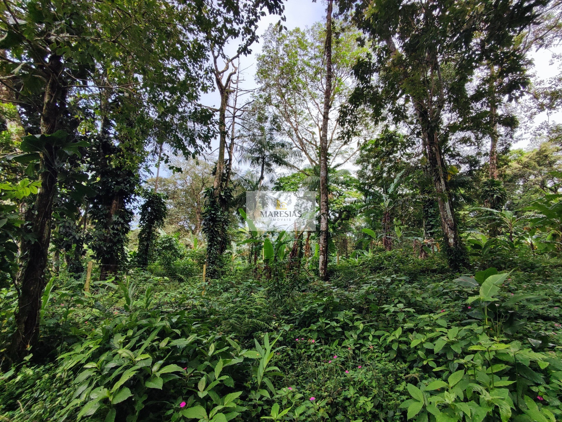 TERRENO RESIDENCIAL em São Sebastião - SP, Toque toque pequeno
