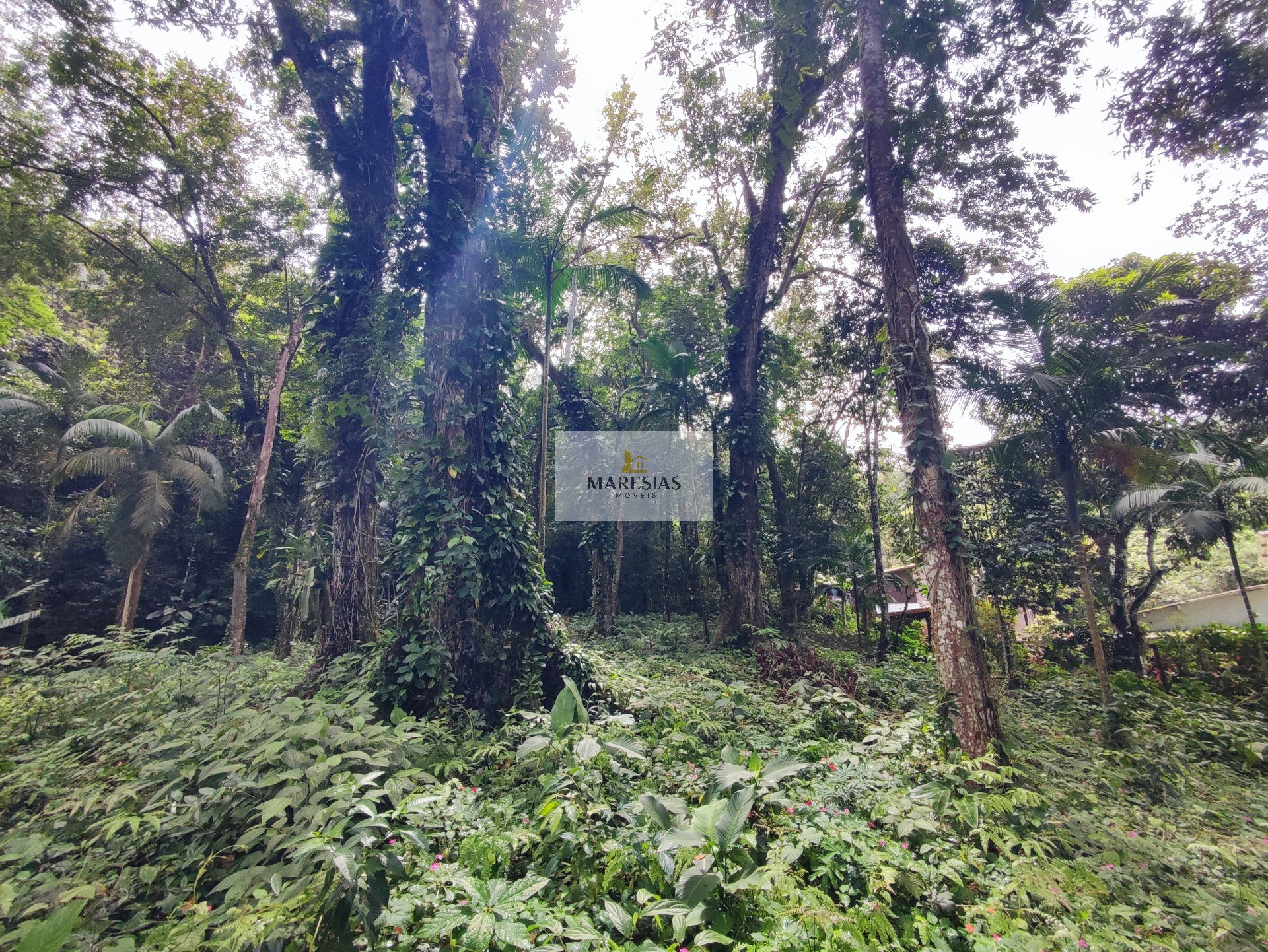 TERRENO RESIDENCIAL em São Sebastião - SP, Toque toque pequeno