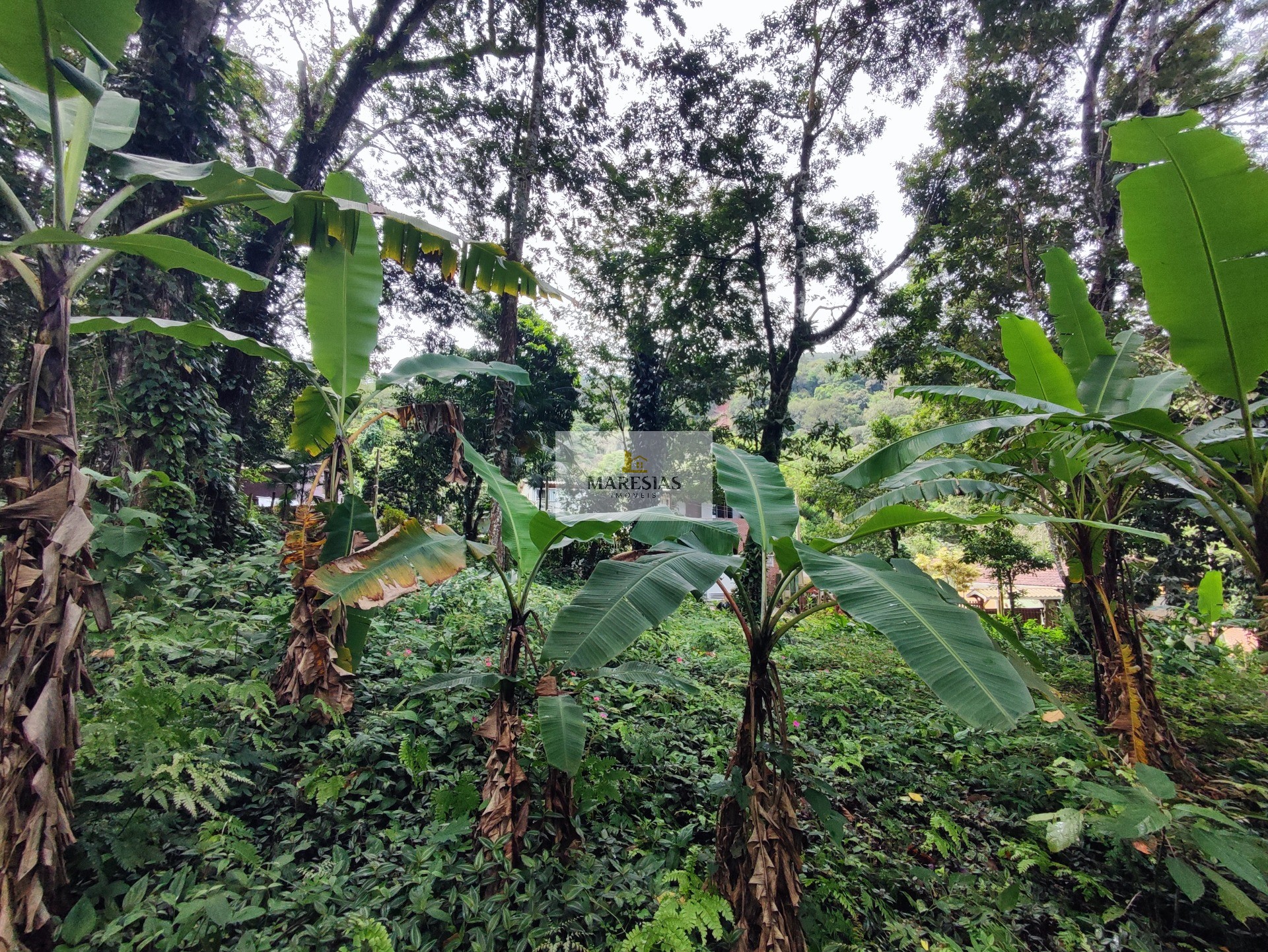 TERRENO RESIDENCIAL em São Sebastião - SP, Toque toque pequeno