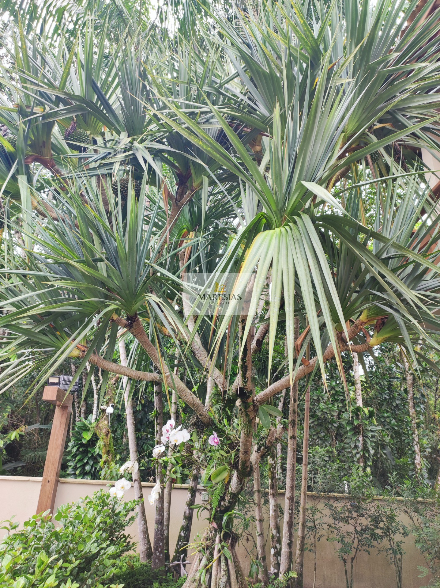 Casa residencial em são sebastião - sp, juquehy