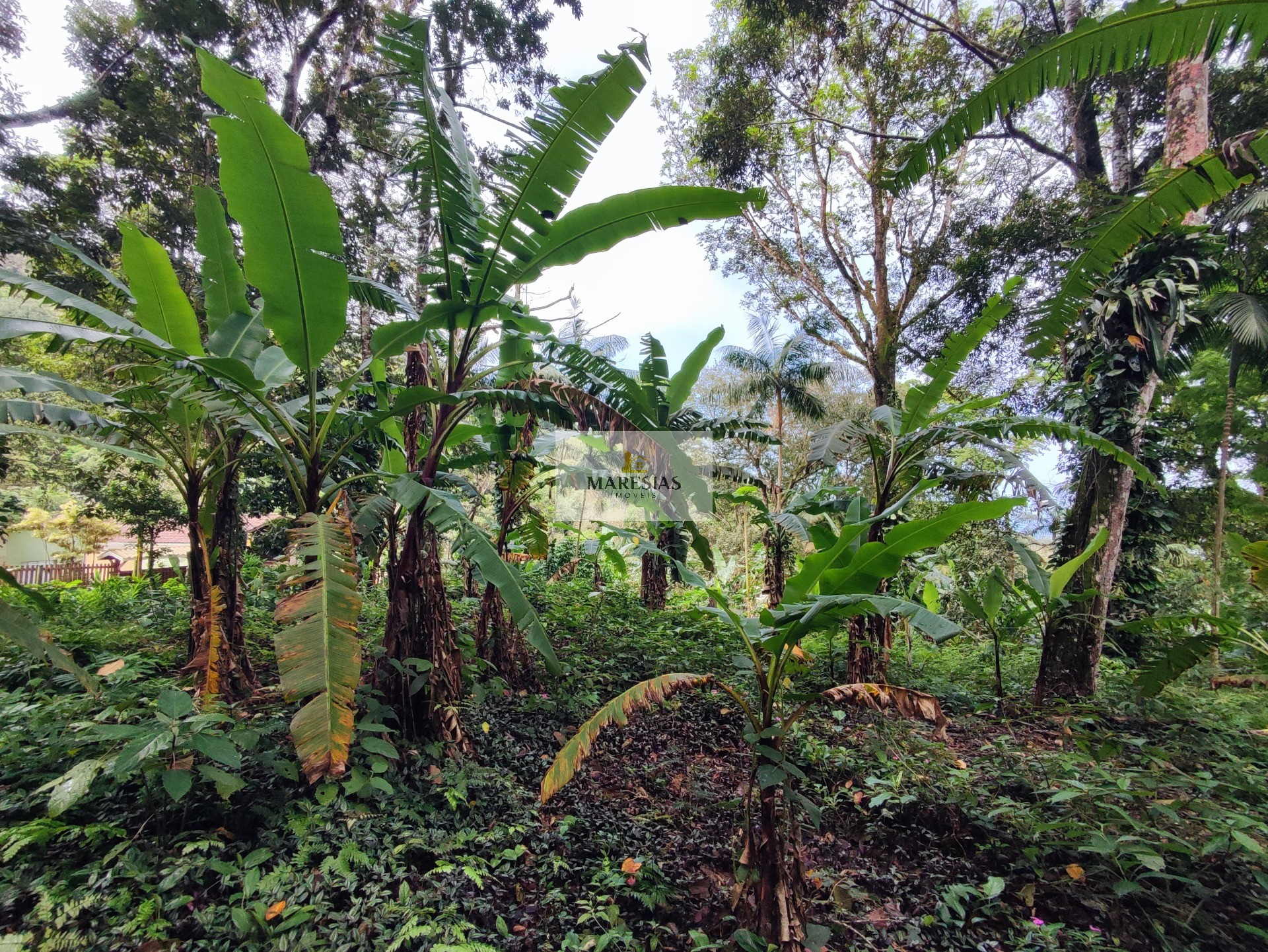 TERRENO RESIDENCIAL em São Sebastião - SP, Toque toque pequeno
