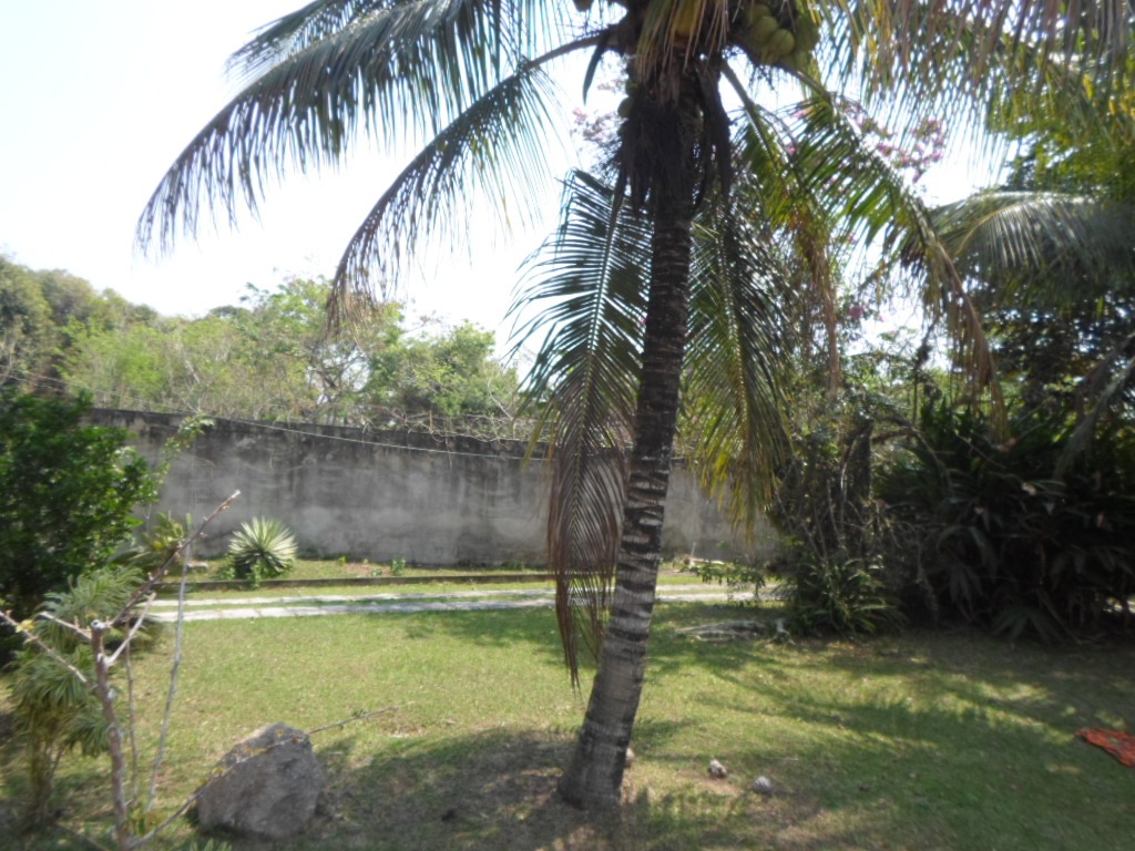 Sítio em guaratiba com 7.507m² - foto 14