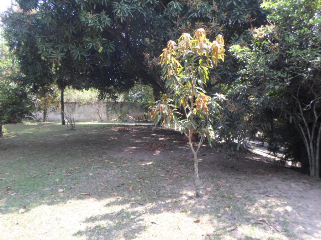 Sítio em guaratiba com 7.507m² - foto 5