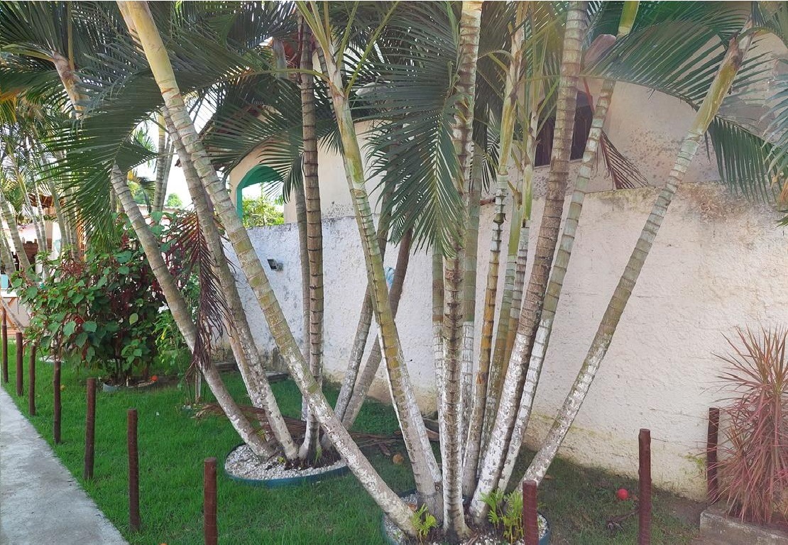 Linda Casa térrea pronta em terrenão de aproximadamente 480 metros quadrados (10 m frente x 48 m laterais).