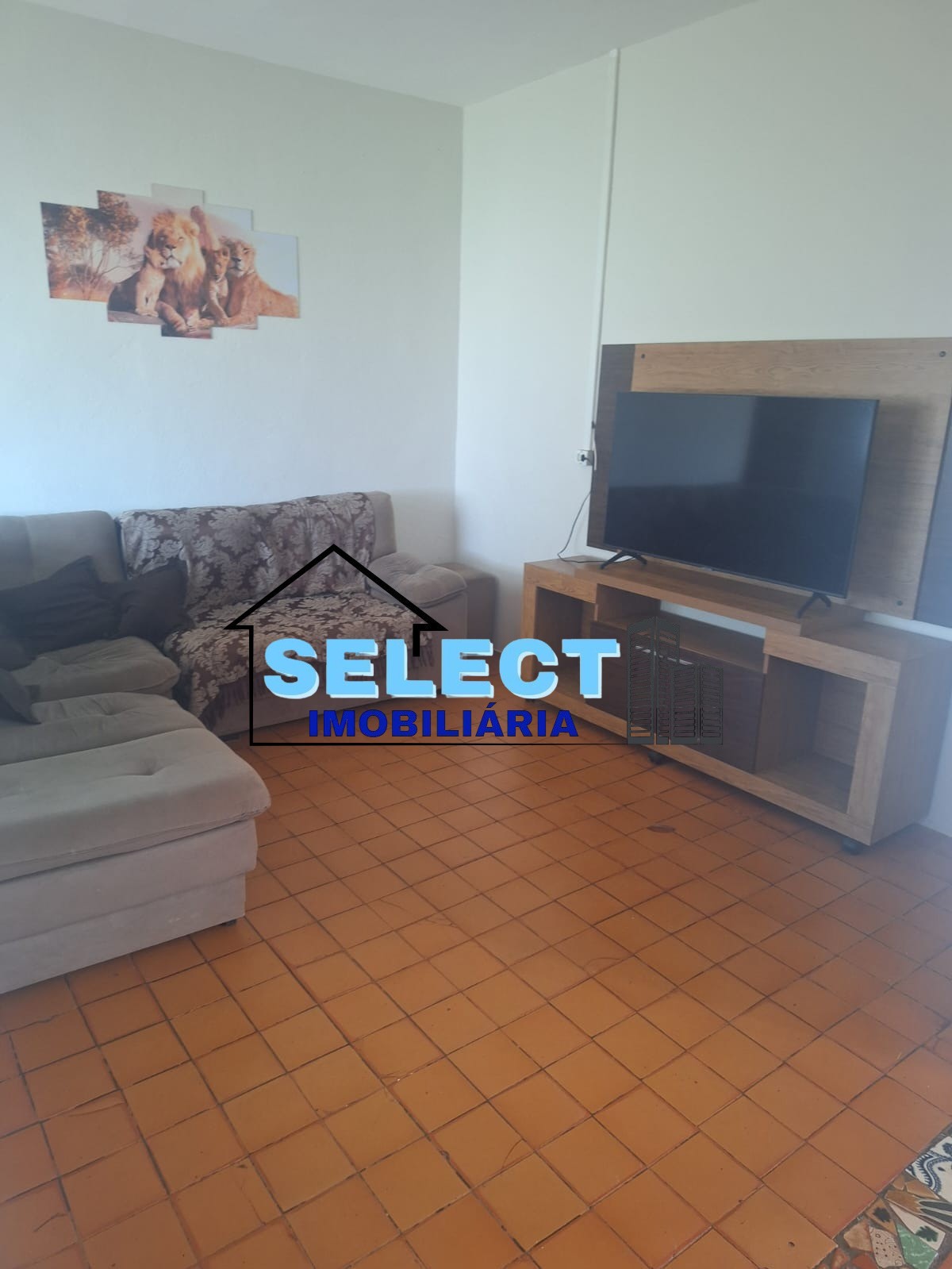 Sítio, 4 quartos, 1000 m² - Foto 17