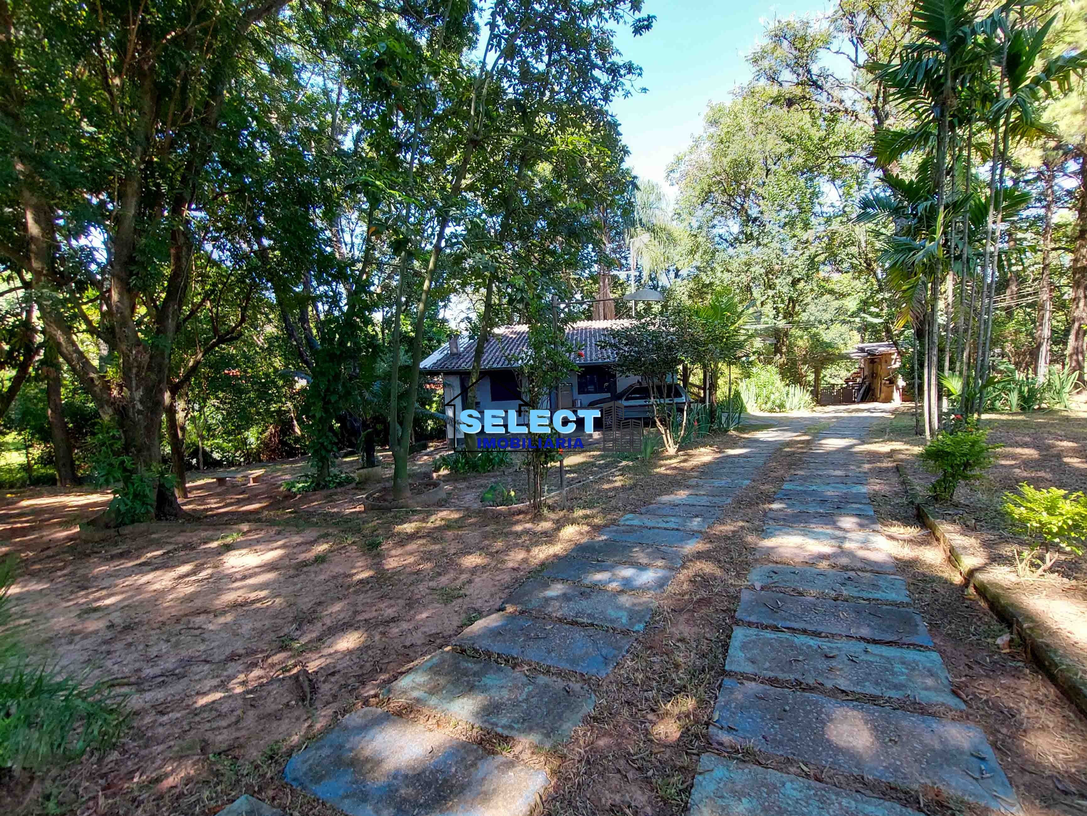 Terreno, 3233 m² - Foto 5