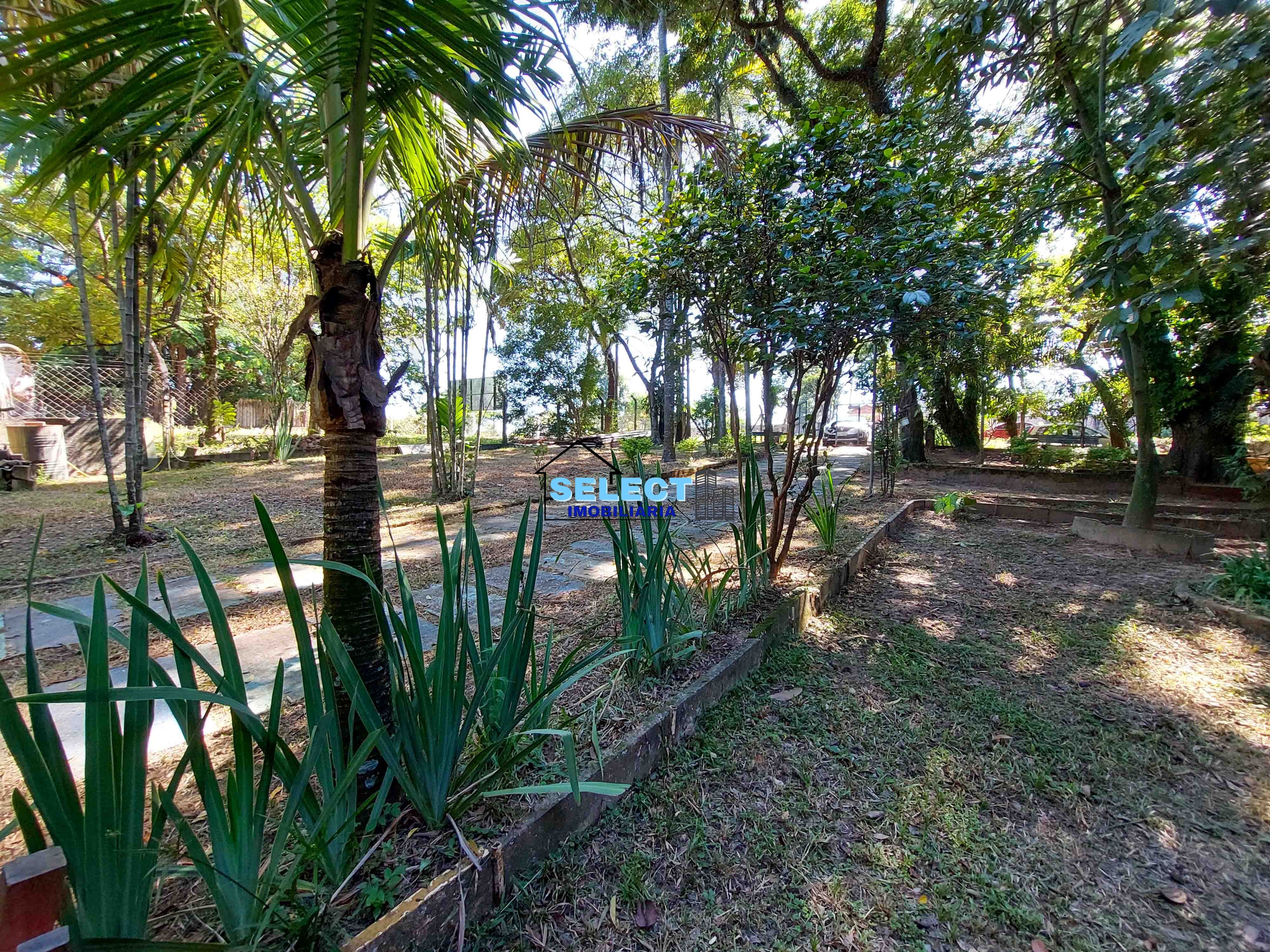 Terreno, 3233 m² - Foto 10