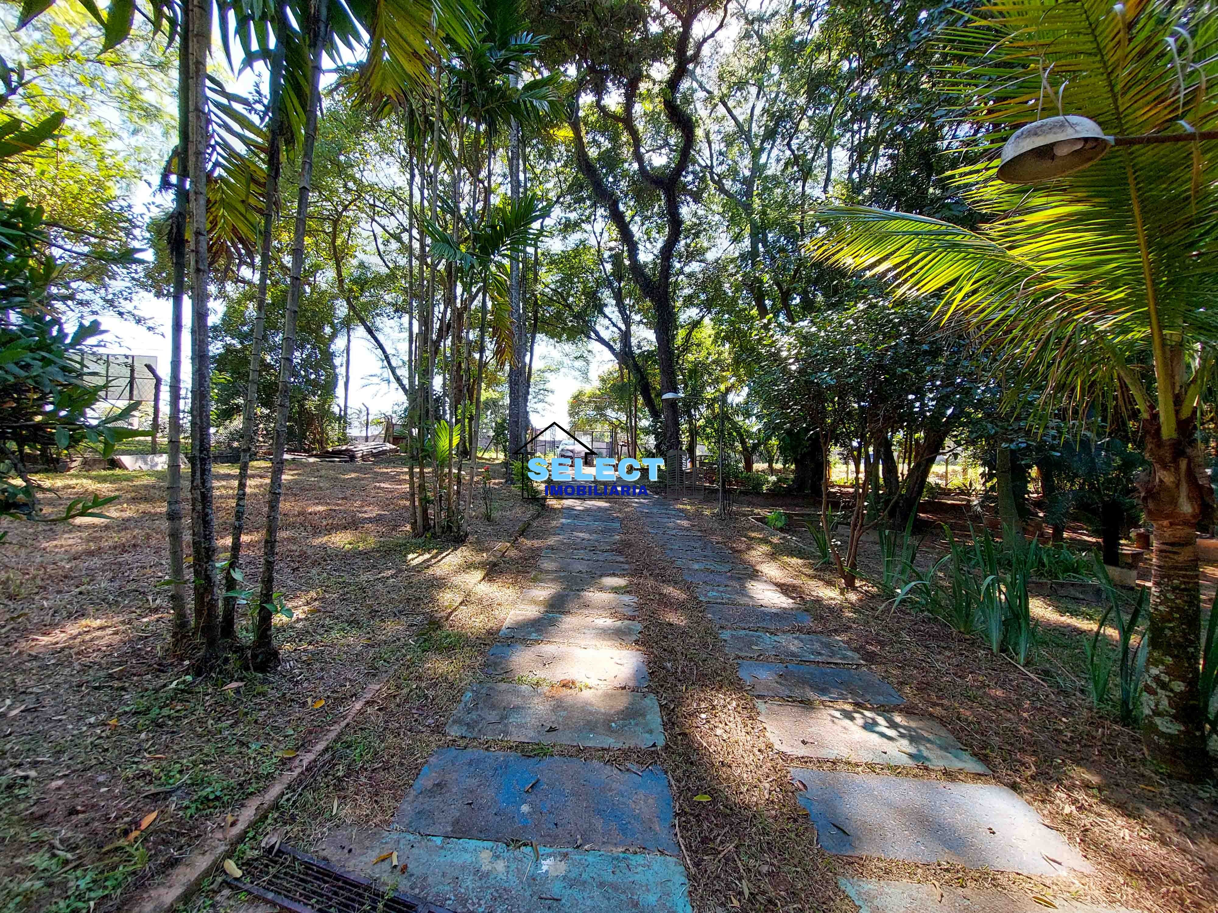 Terreno, 3233 m² - Foto 6