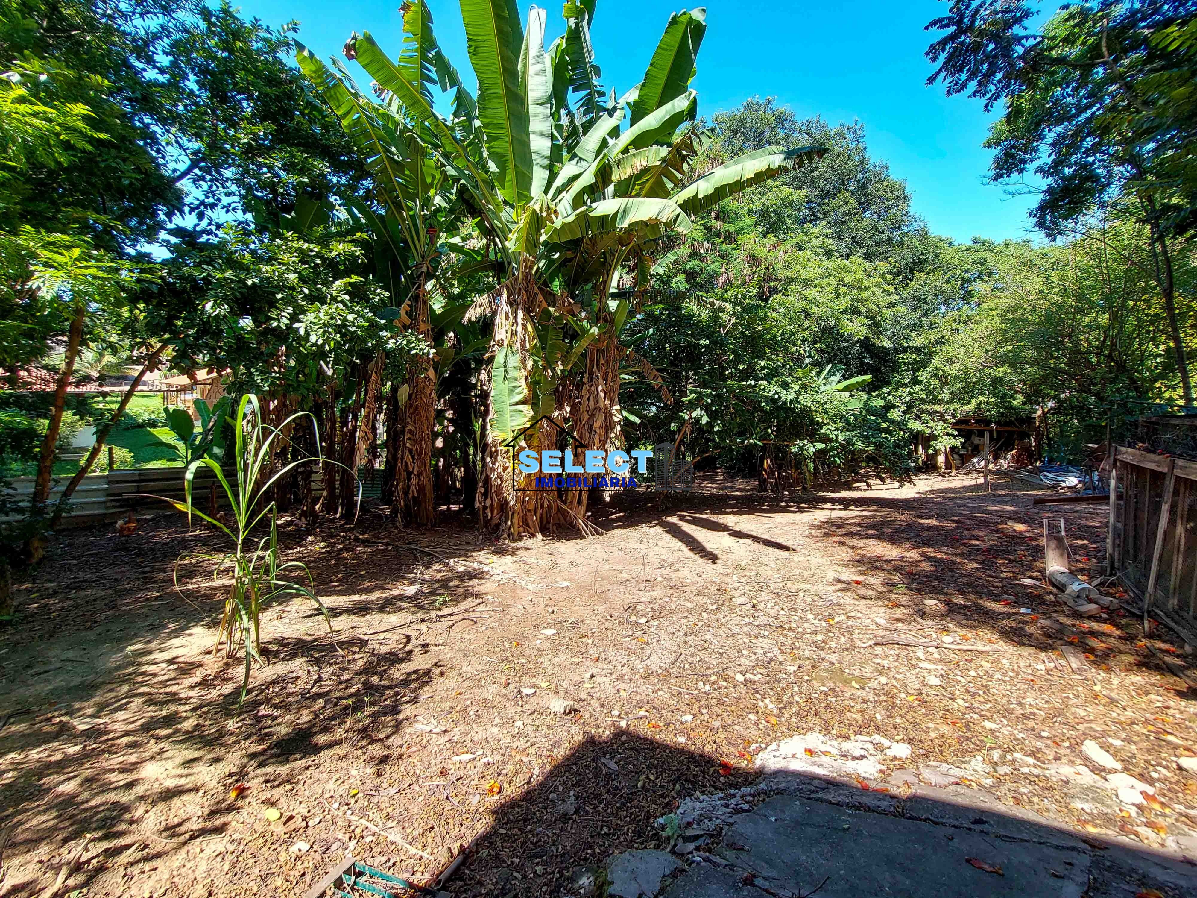 Terreno, 3233 m² - Foto 23