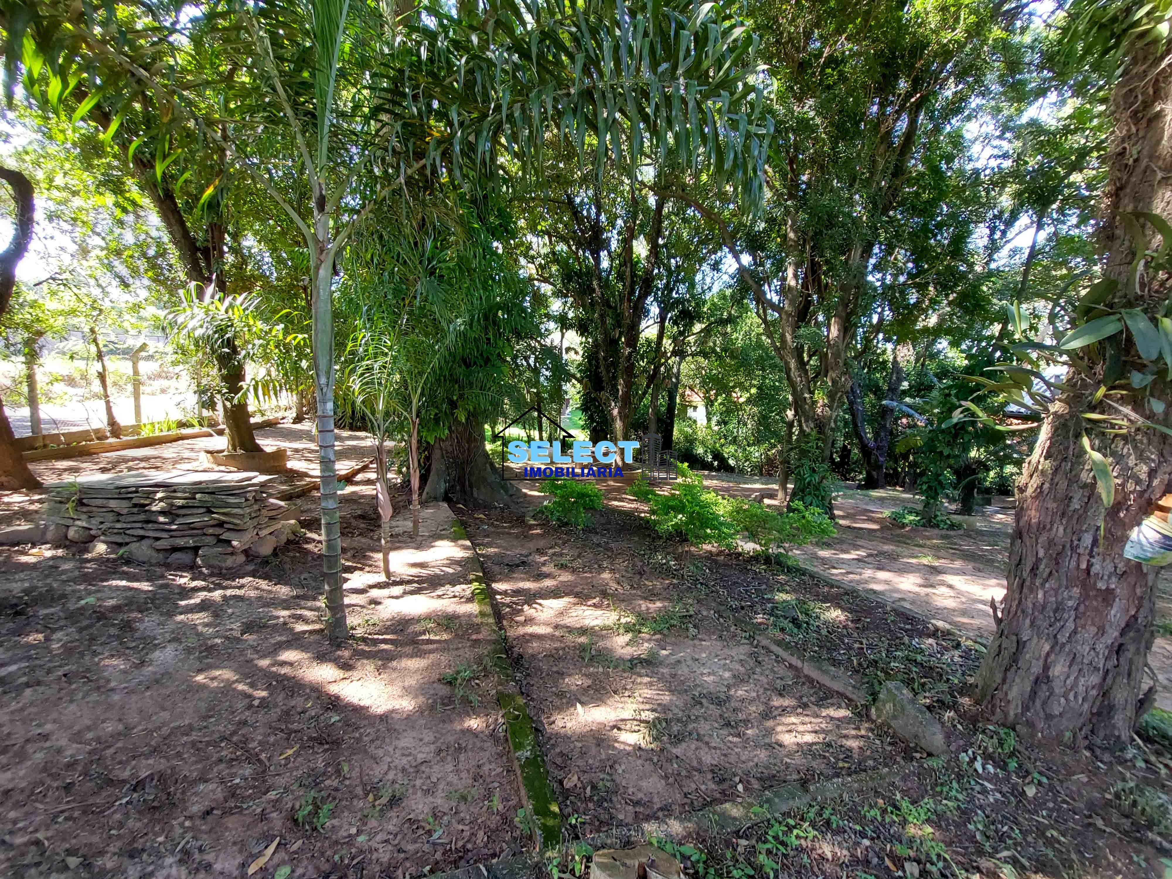 Terreno, 3233 m² - Foto 3