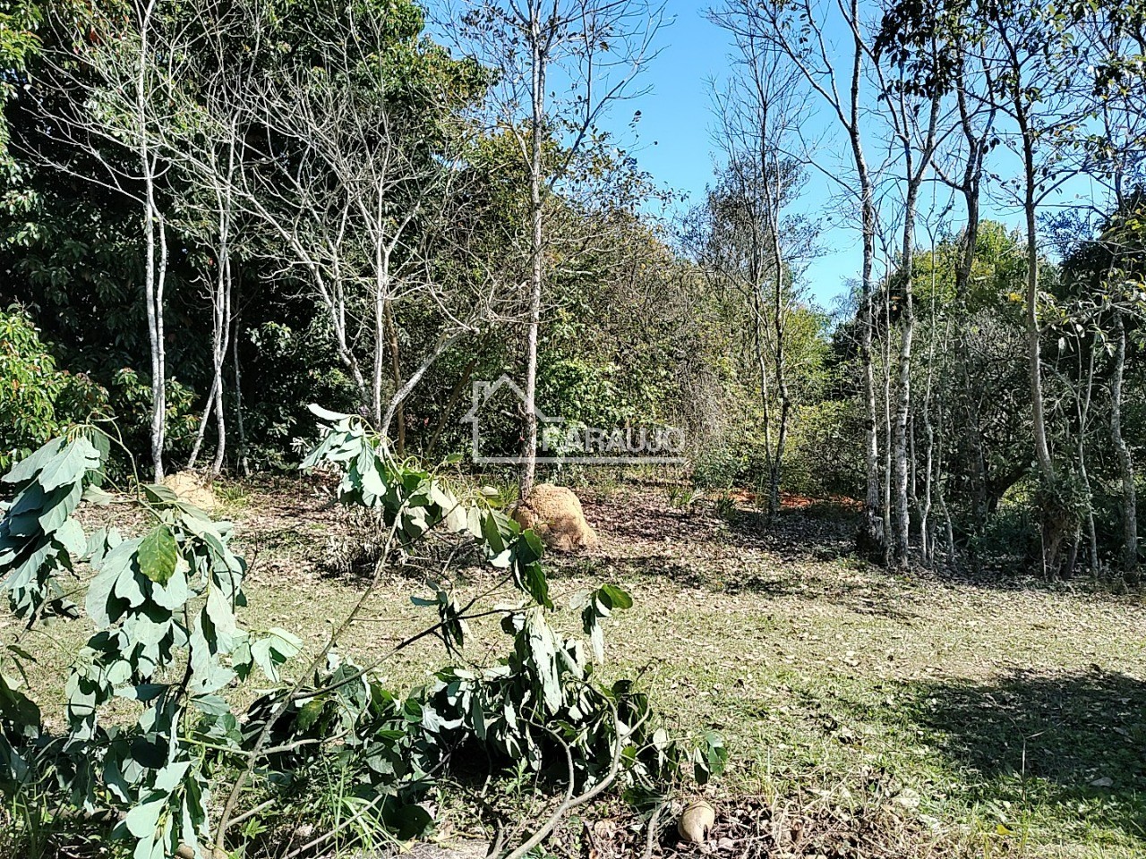 Sítio, 3 quartos, 3 hectares - Foto 19