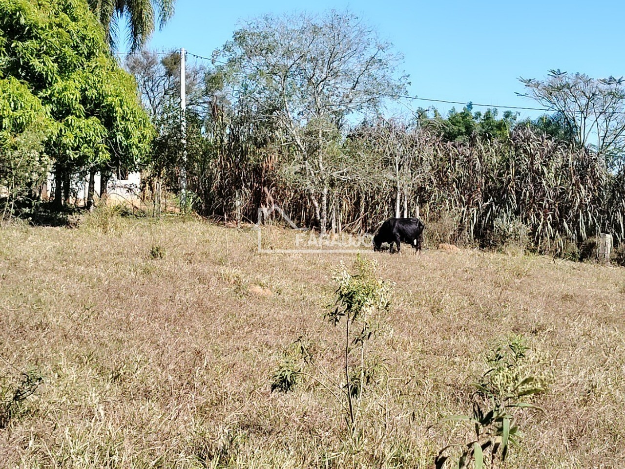 Sítio, 3 quartos, 3 hectares - Foto 54