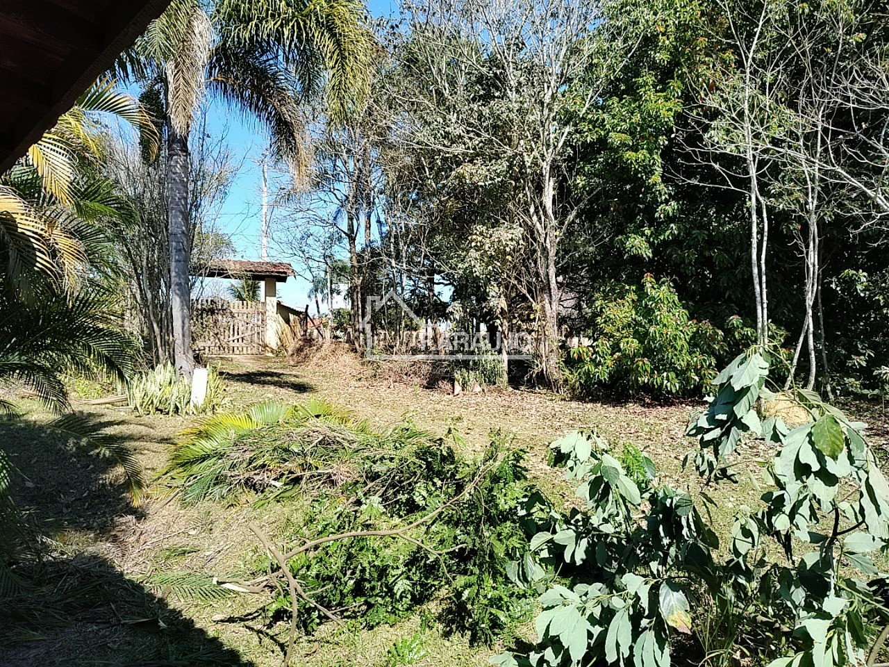 Sítio, 3 quartos, 3 hectares - Foto 18