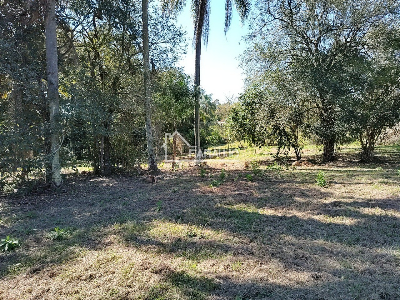 Sítio, 3 quartos, 3 hectares - Foto 27