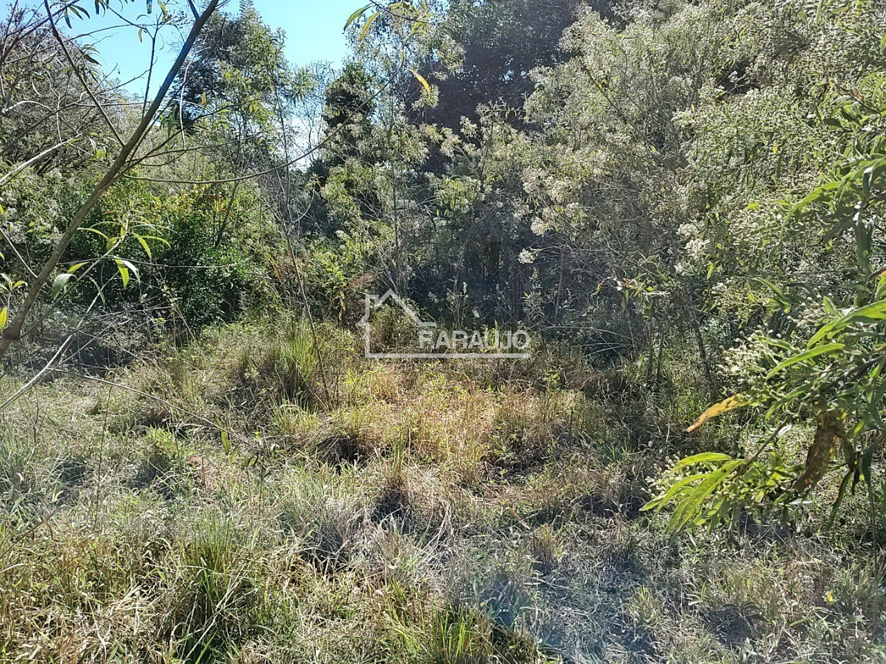 Sítio, 3 quartos, 3 hectares - Foto 39