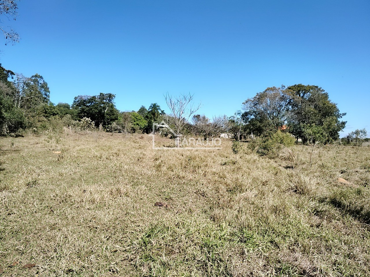 Sítio, 3 quartos, 3 hectares - Foto 53