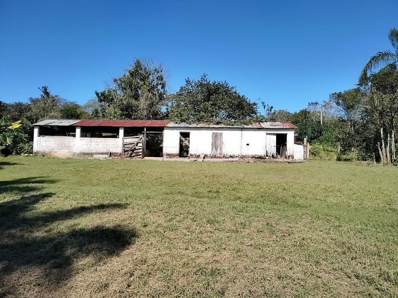 Sítio, 3 quartos, 3 hectares - Foto 21