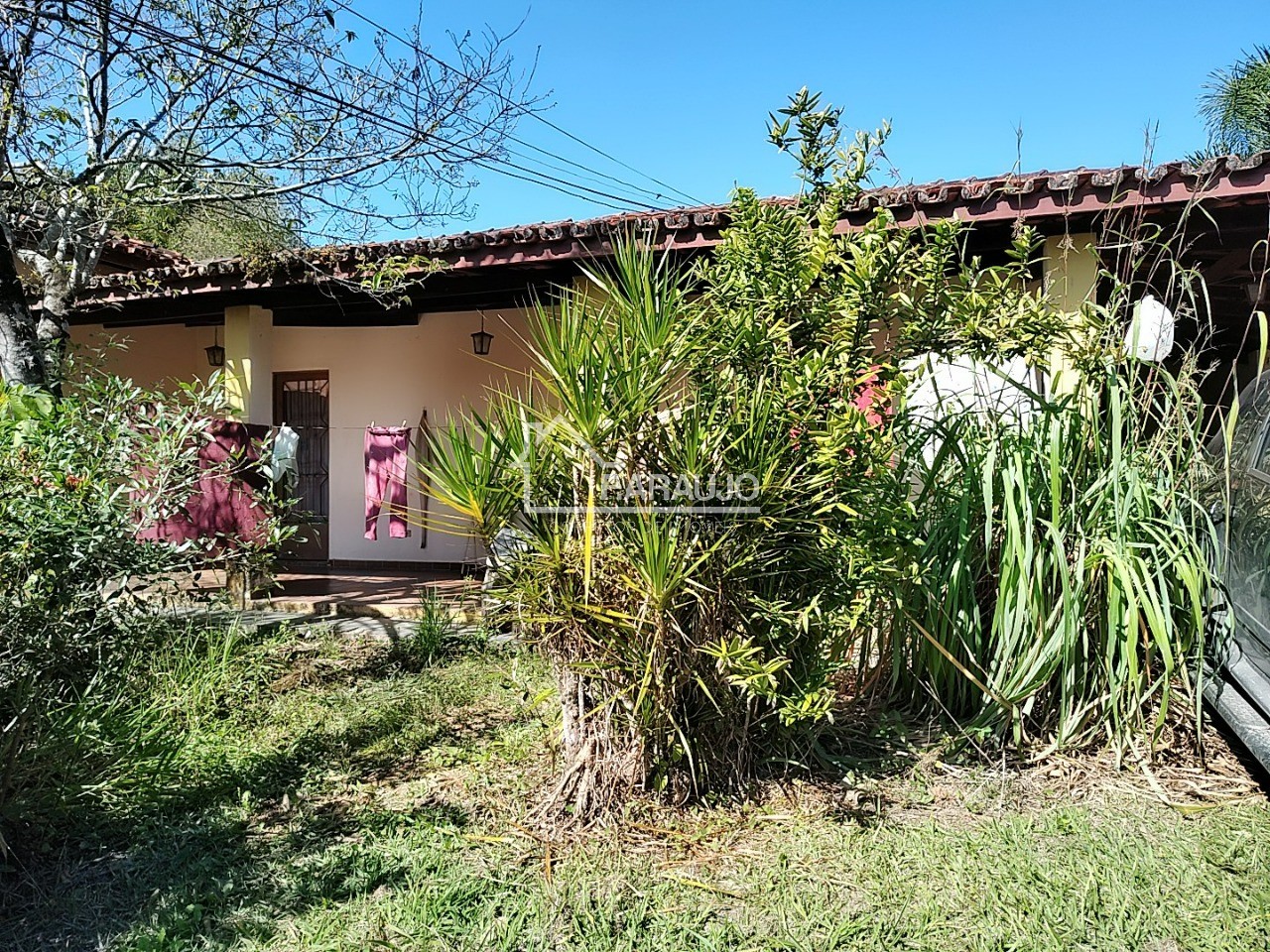 Sítio, 3 quartos, 3 hectares - Foto 16