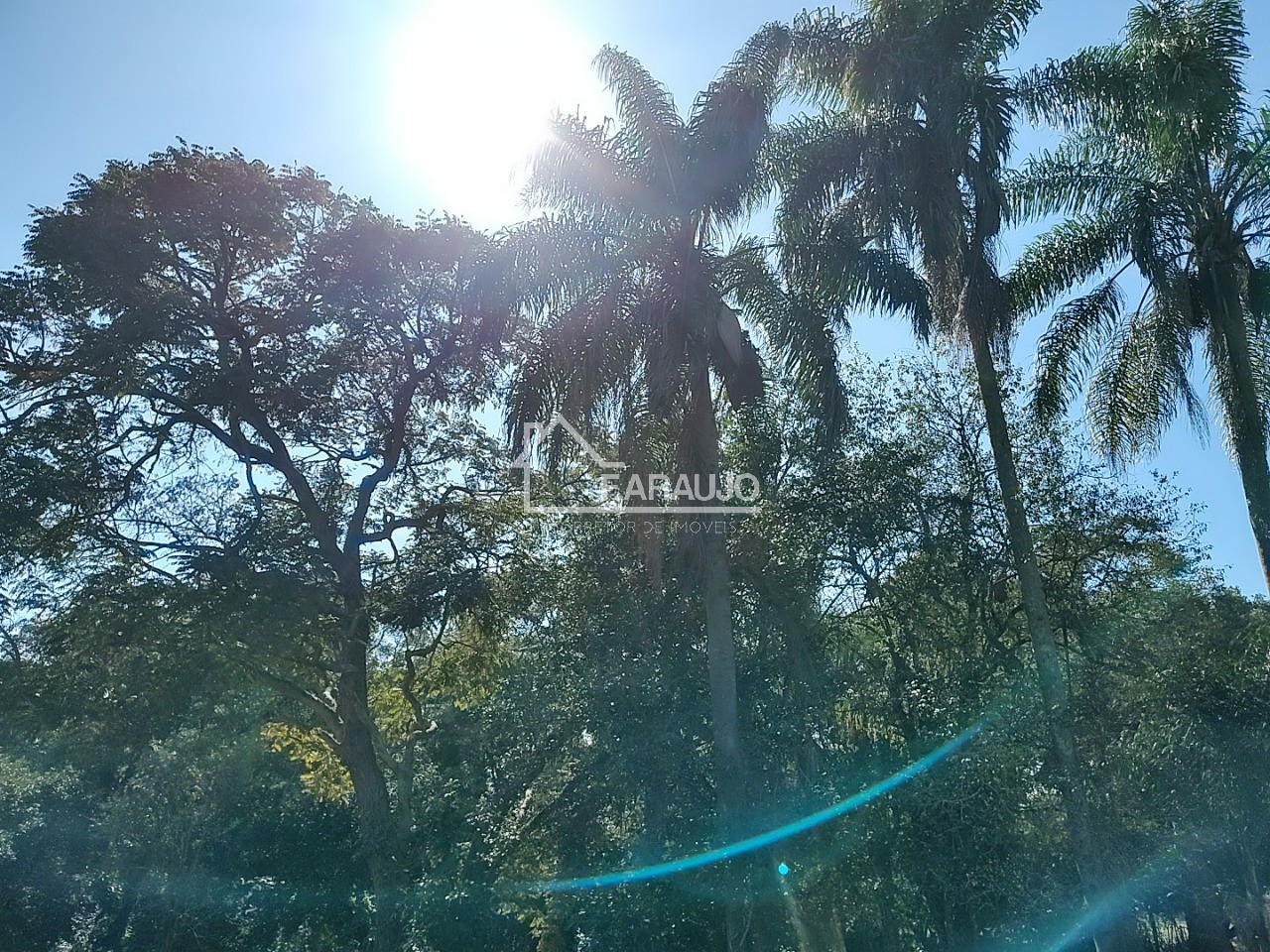 Sítio, 3 quartos, 3 hectares - Foto 35