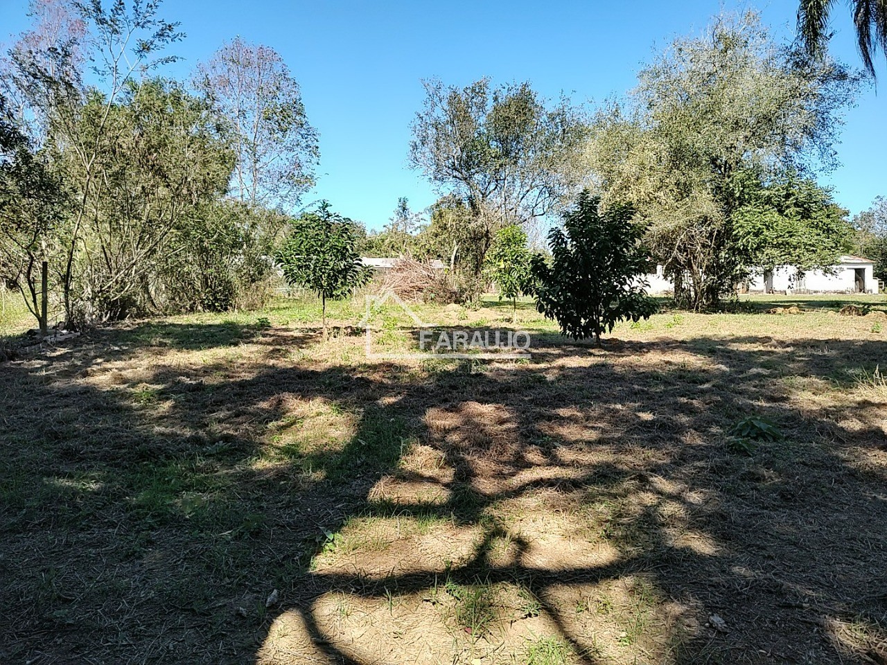 Sítio, 3 quartos, 3 hectares - Foto 31