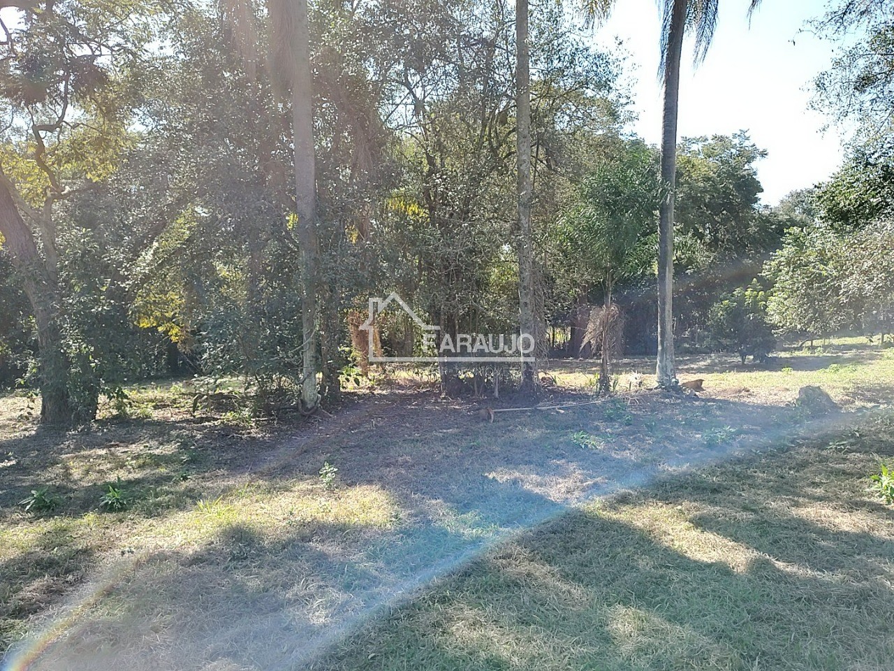 Sítio, 3 quartos, 3 hectares - Foto 34