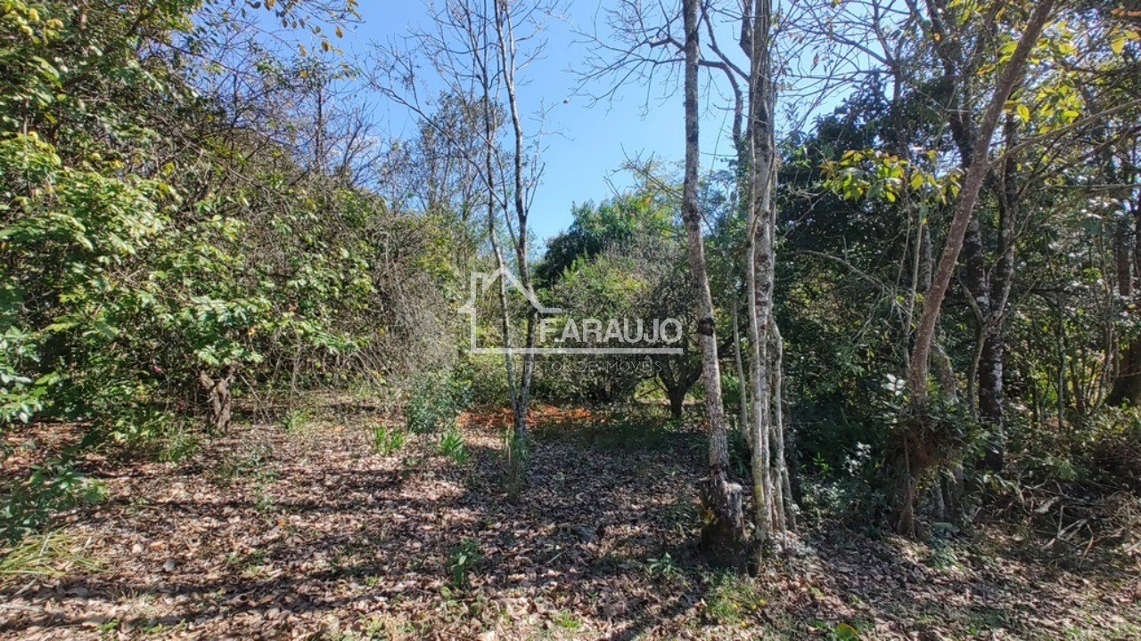 Sítio, 3 quartos, 3 hectares - Foto 8