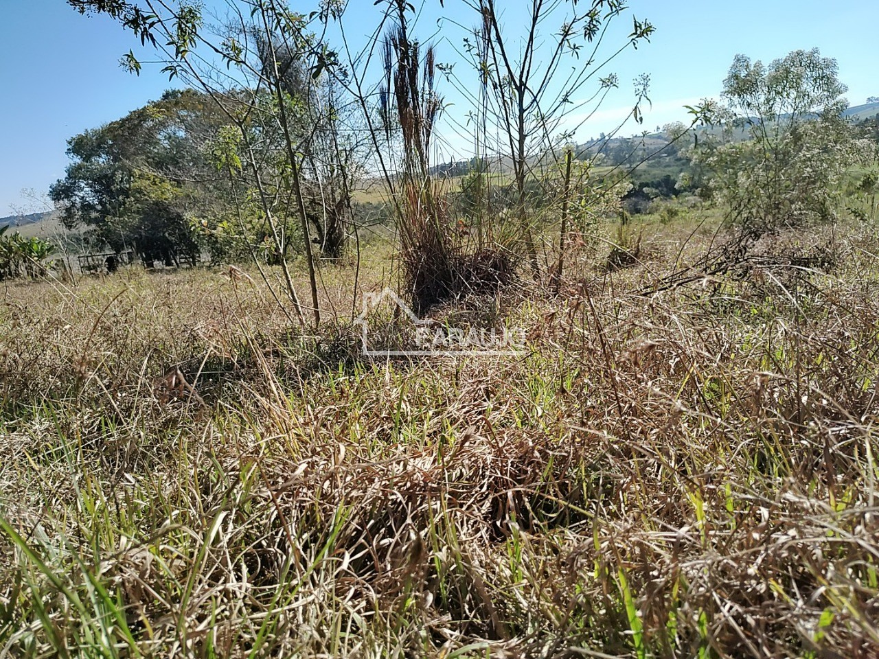 Sítio, 3 quartos, 3 hectares - Foto 56