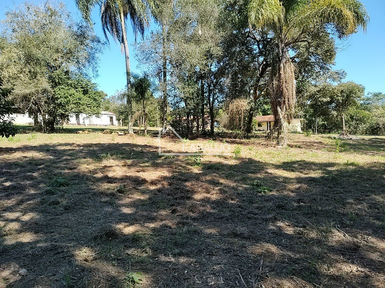 Sítio, 3 quartos, 3 hectares - Foto 29