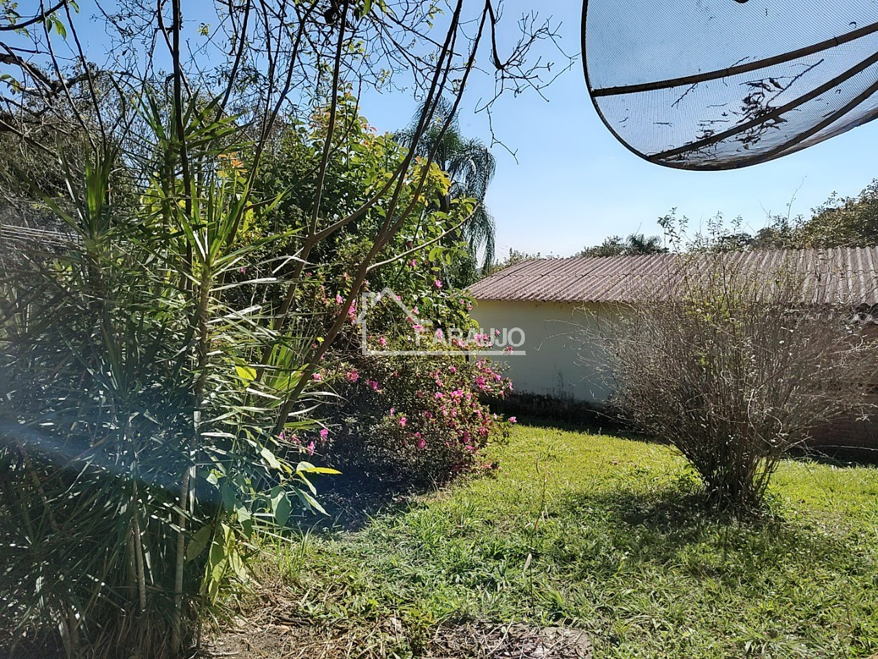 Sítio, 3 quartos, 3 hectares - Foto 15