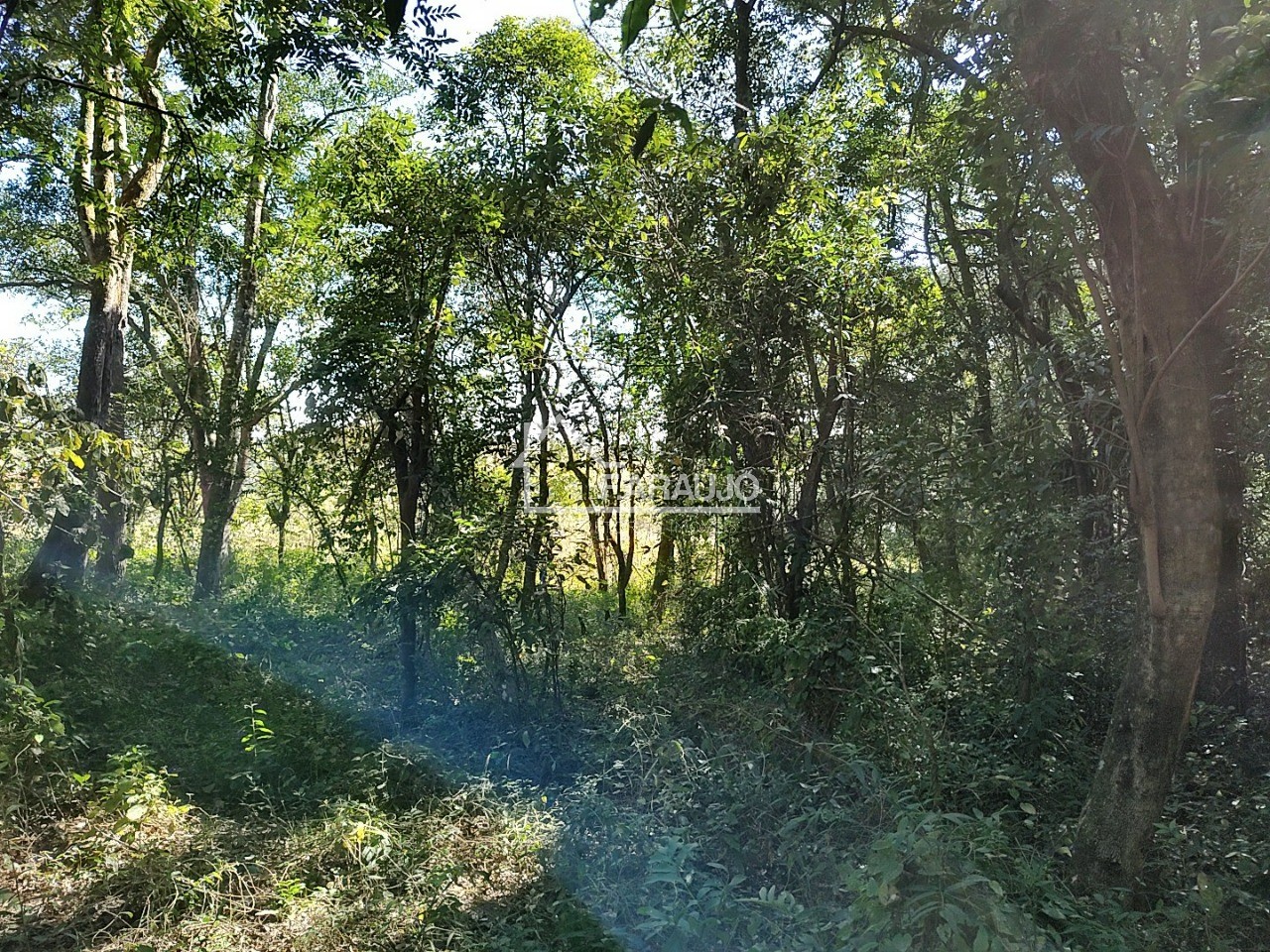 Sítio, 3 quartos, 3 hectares - Foto 44