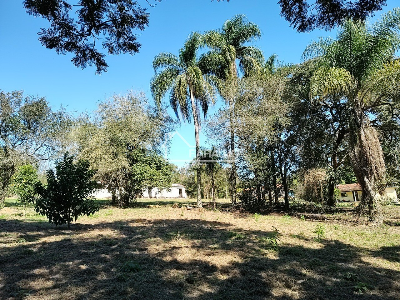 Sítio, 3 quartos, 3 hectares - Foto 33