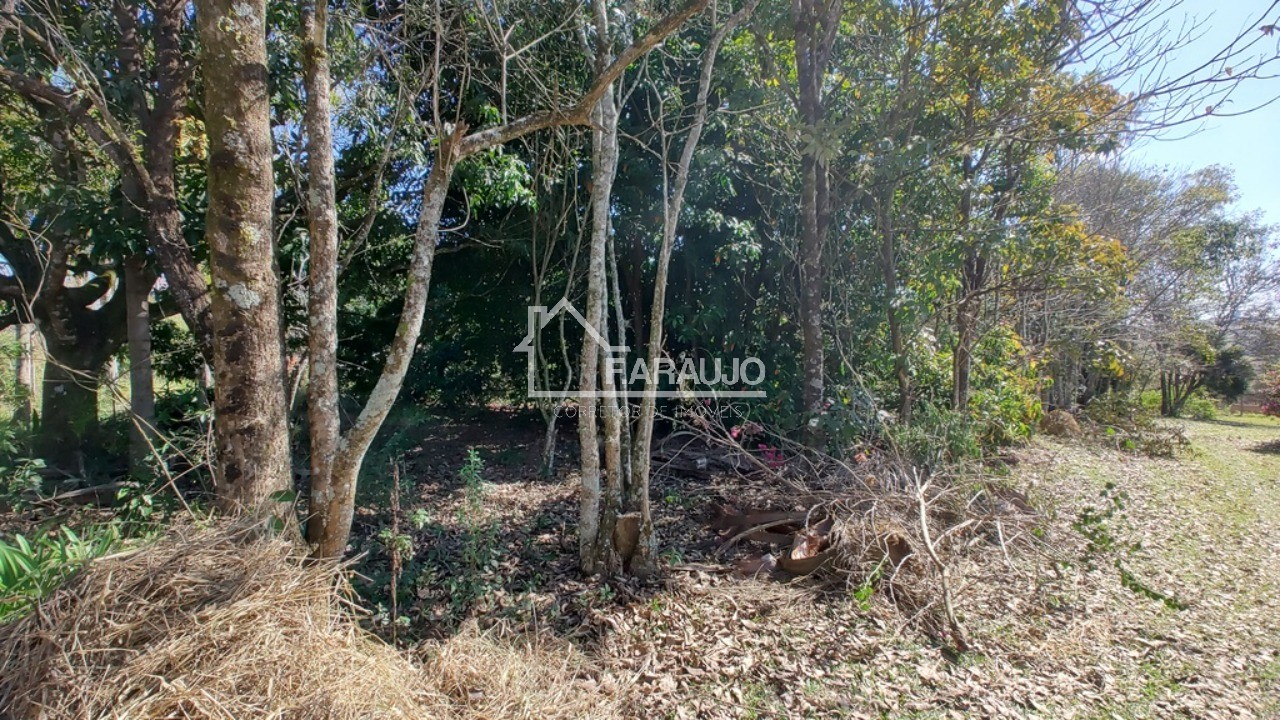 Sítio, 3 quartos, 3 hectares - Foto 7