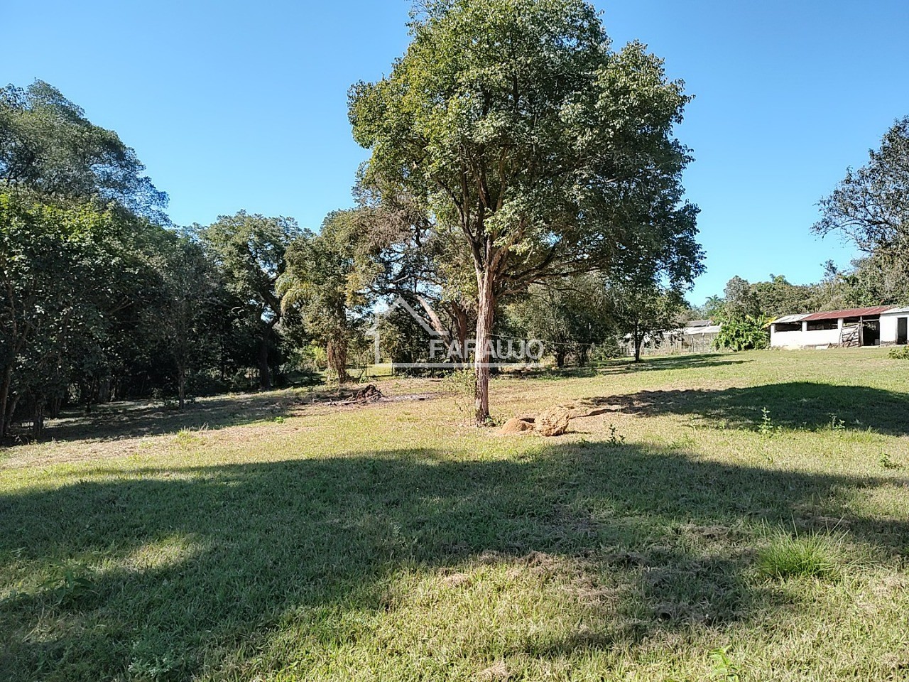 Sítio, 3 quartos, 3 hectares - Foto 28