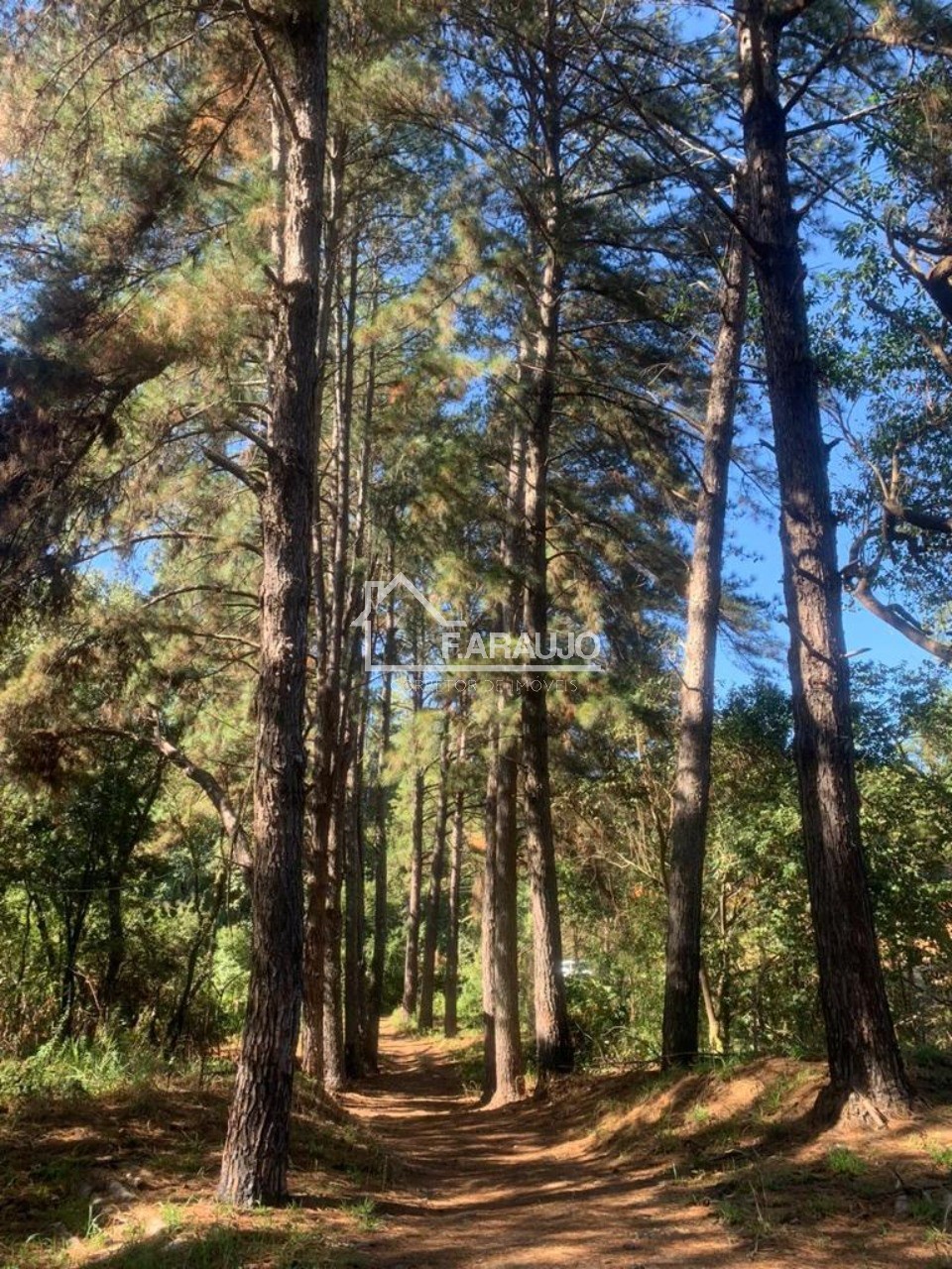 Sítio, 6 quartos, 1 hectares - Foto 26