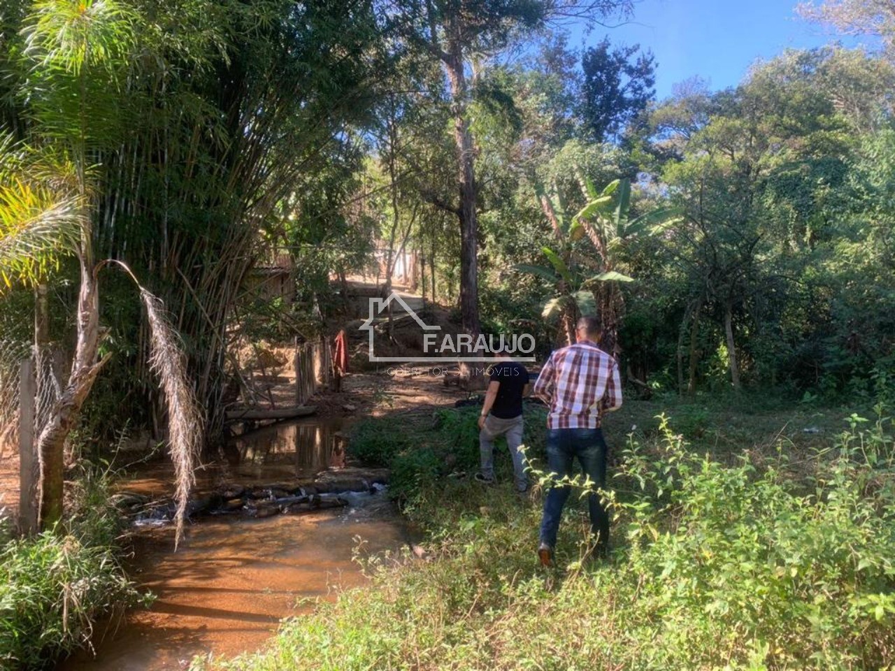 Sítio, 6 quartos, 1 hectares - Foto 28