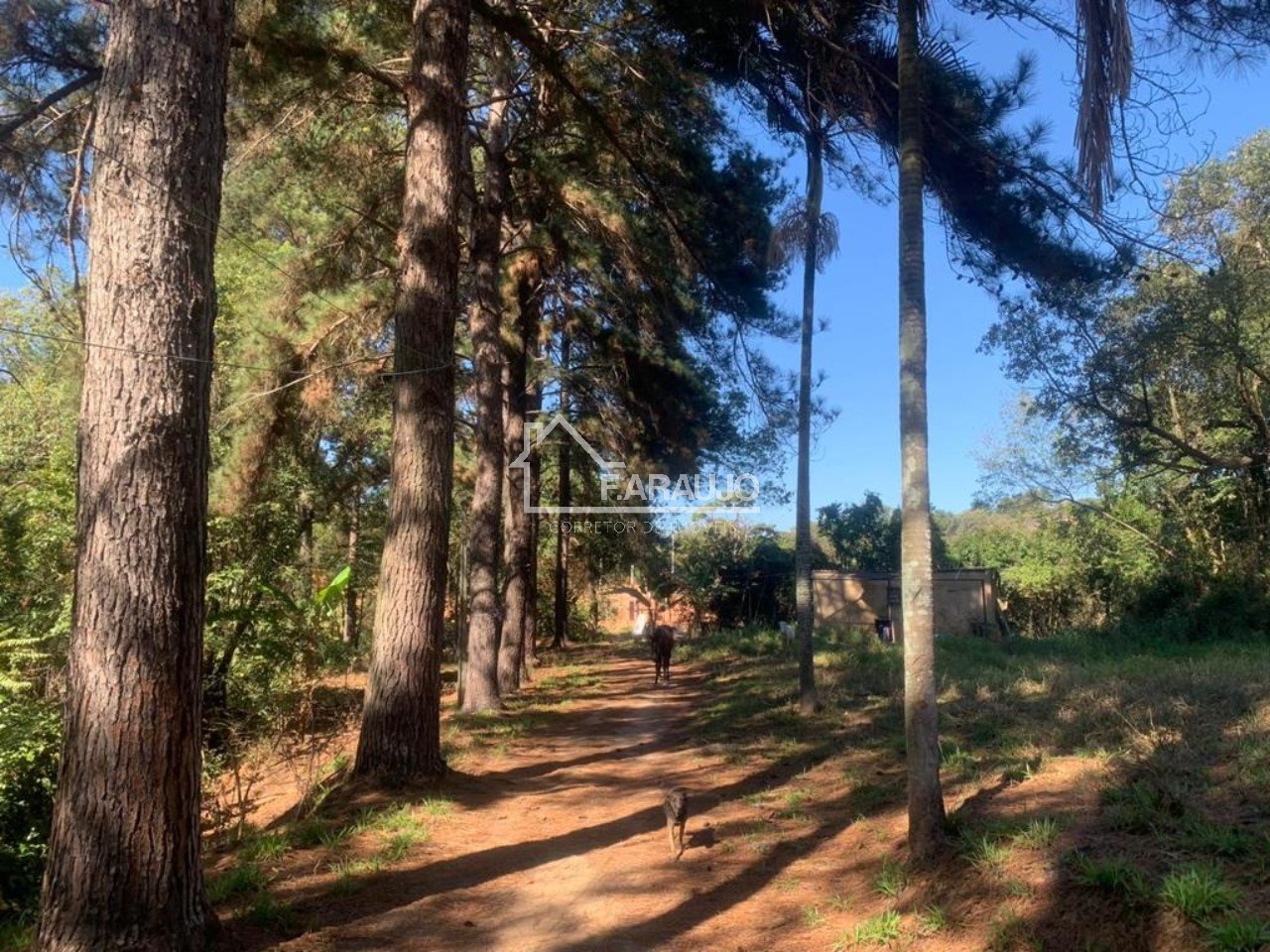 Sítio, 6 quartos, 1 hectares - Foto 27