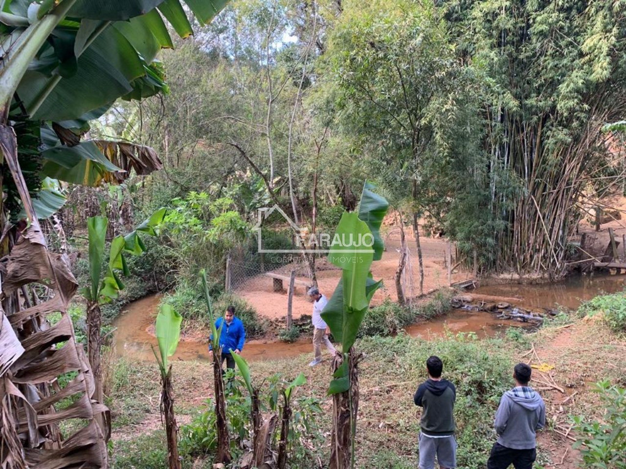 Sítio, 6 quartos, 1 hectares - Foto 29