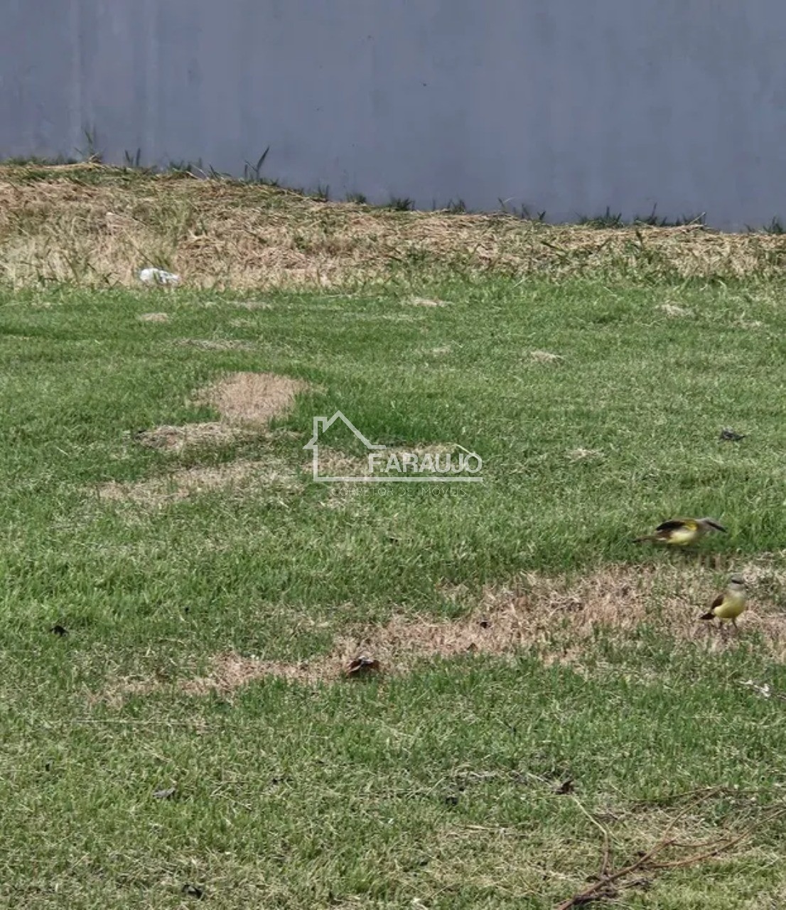 Loteamento e Condomínio, 1000 m² - Foto 12