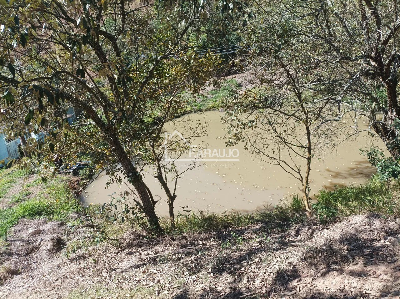 Sítio, 5 quartos, 3 hectares - Foto 11