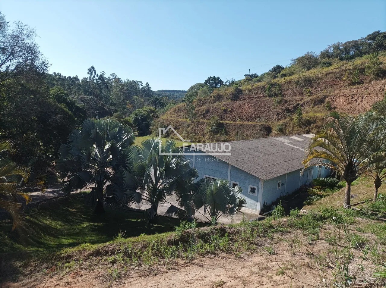 Sítio, 5 quartos, 3 hectares - Foto 5