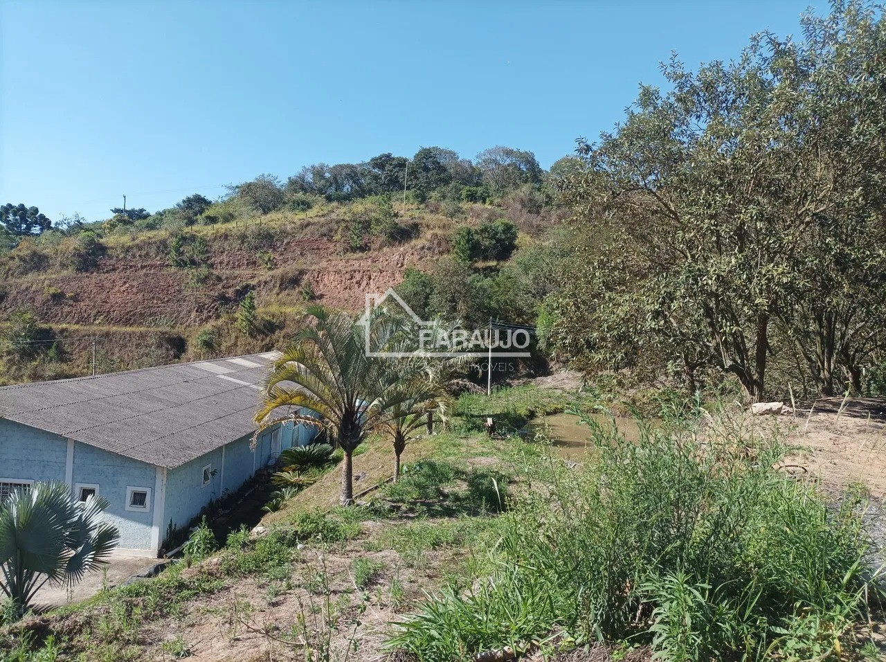 Sítio, 5 quartos, 3 hectares - Foto 8