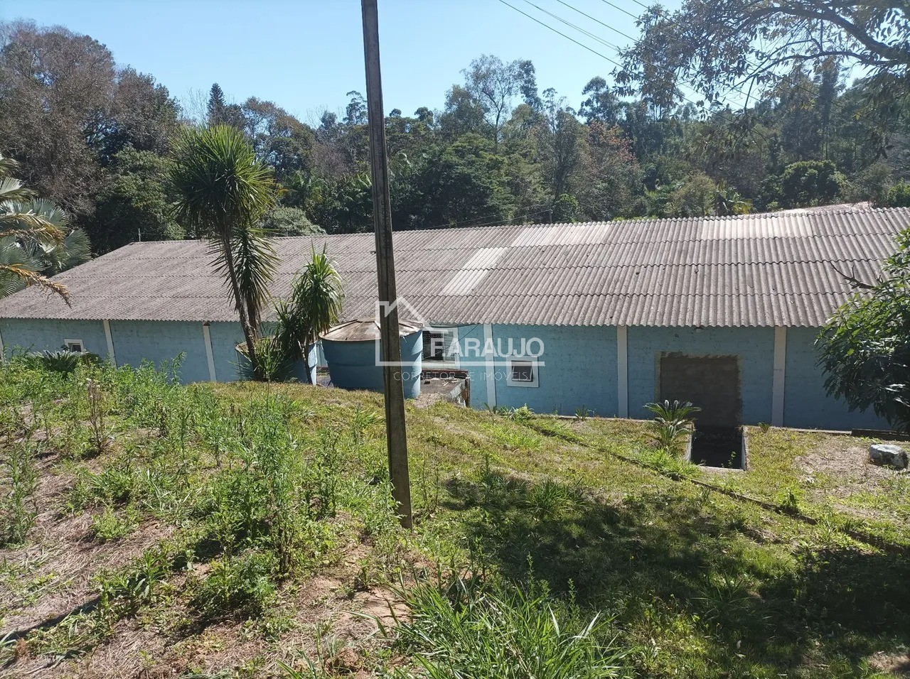 Sítio, 5 quartos, 3 hectares - Foto 7