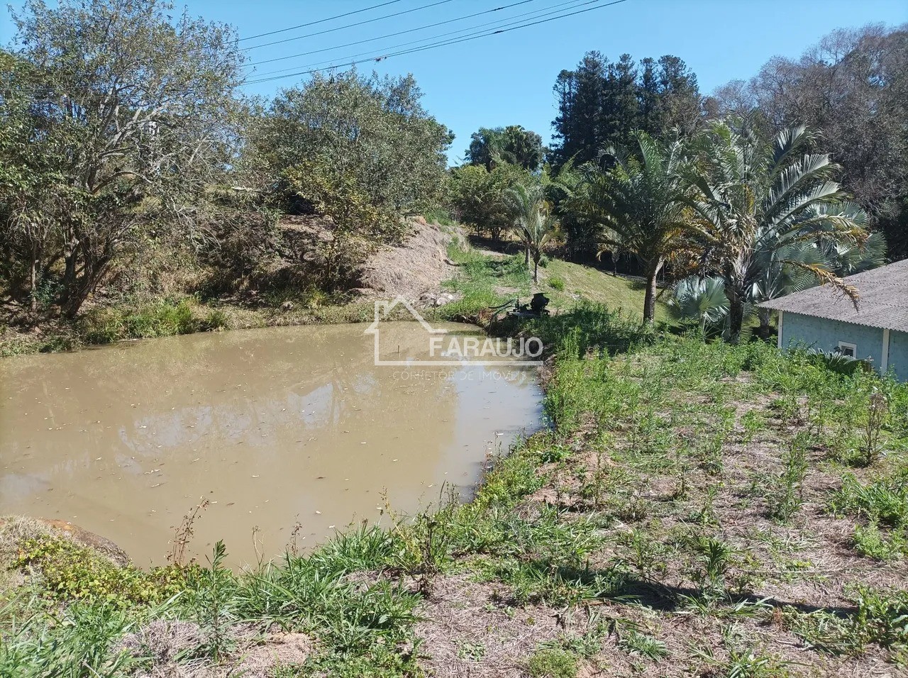 Sítio, 5 quartos, 3 hectares - Foto 9