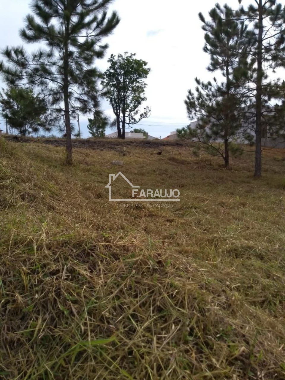 Terreno, 300 m² - Foto 8