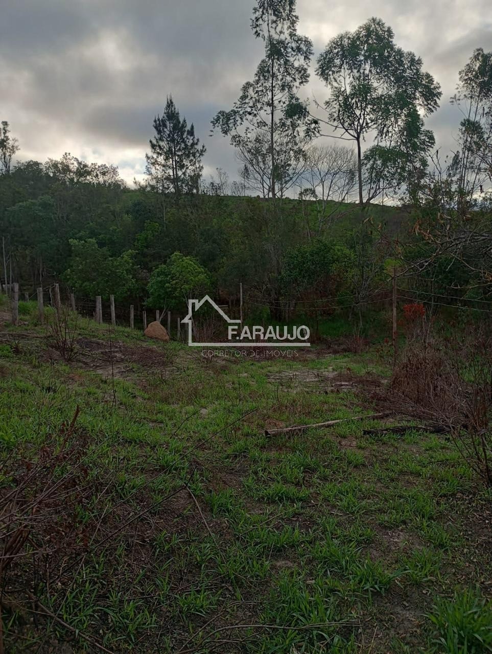 Sítio, 3 quartos - Foto 5