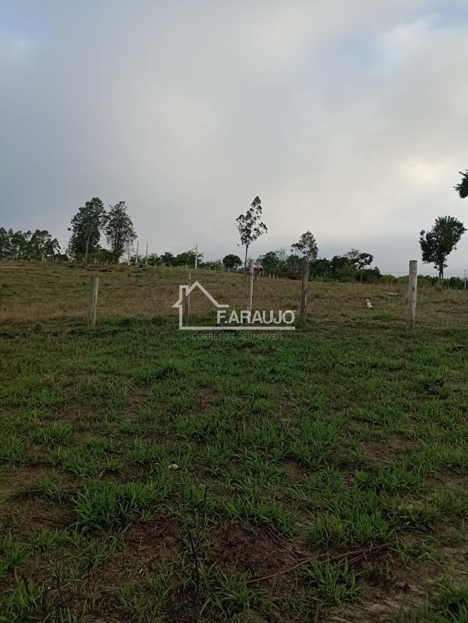 Sítio, 3 quartos - Foto 4