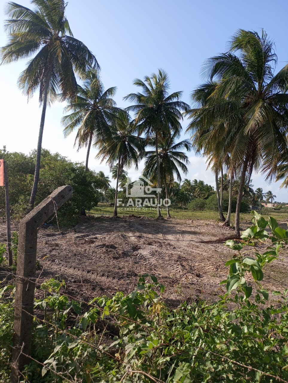 Terreno, 7000 m² - Foto 18