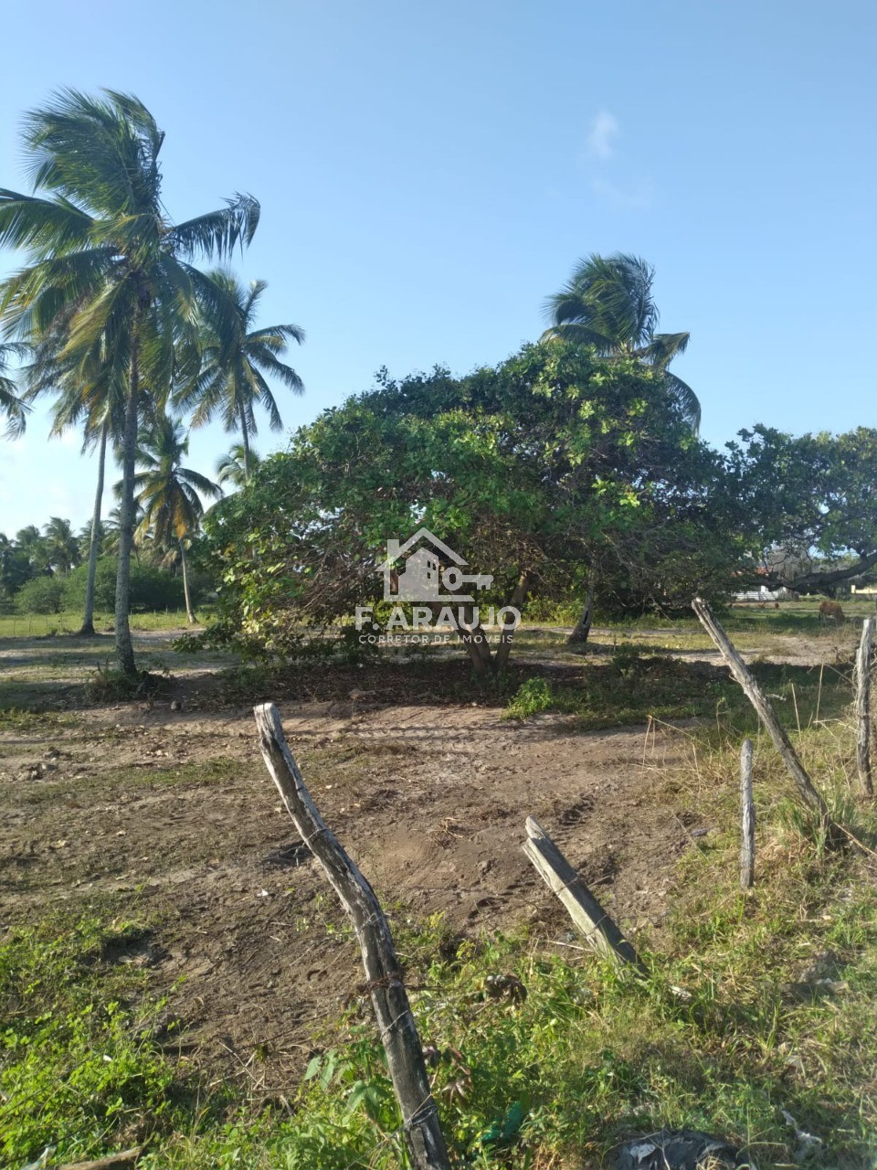 Terreno, 7000 m² - Foto 8