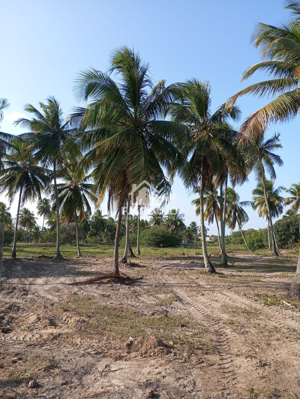 Terreno, 7000 m² - Foto 21