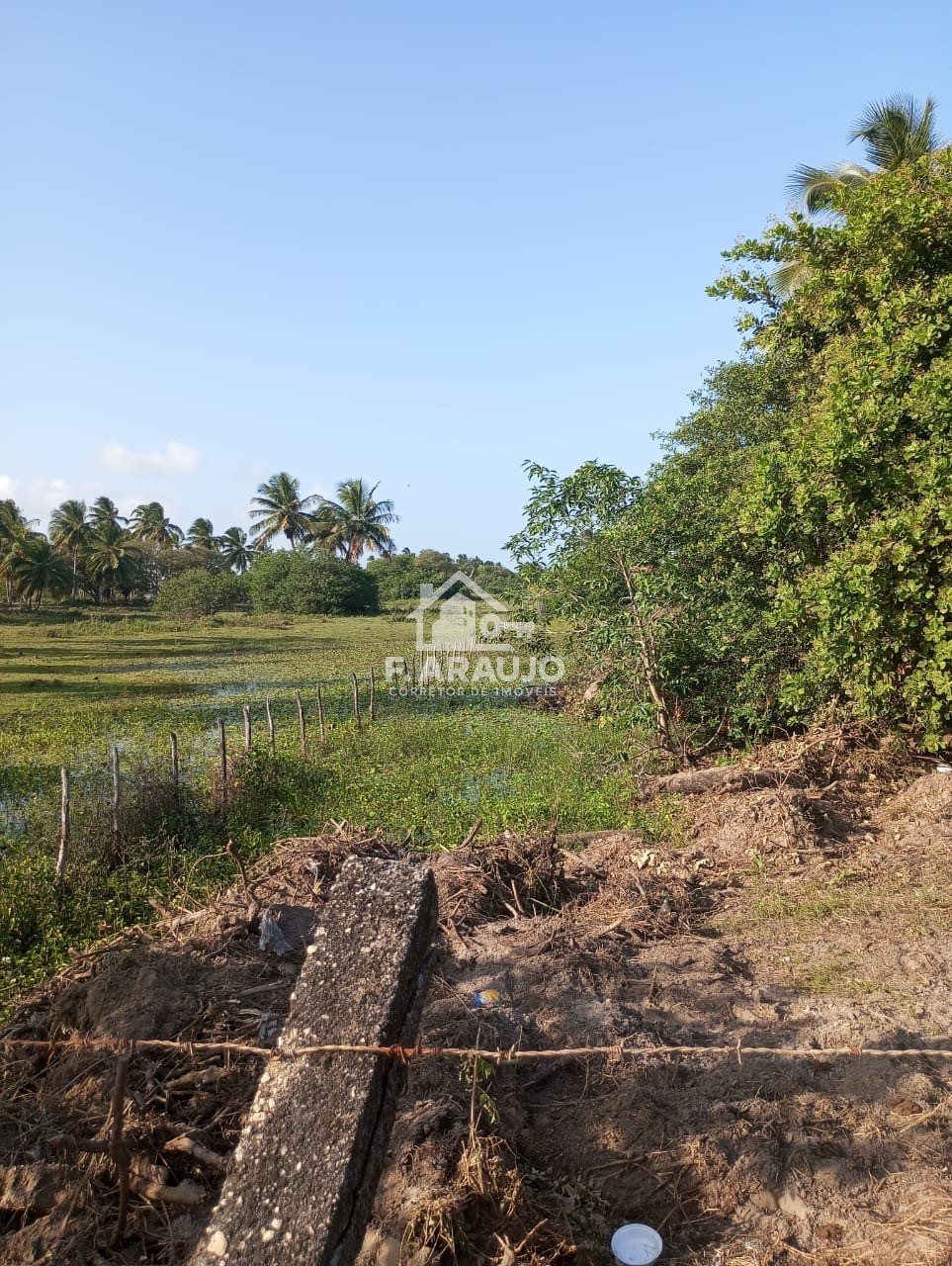 Terreno, 7000 m² - Foto 15